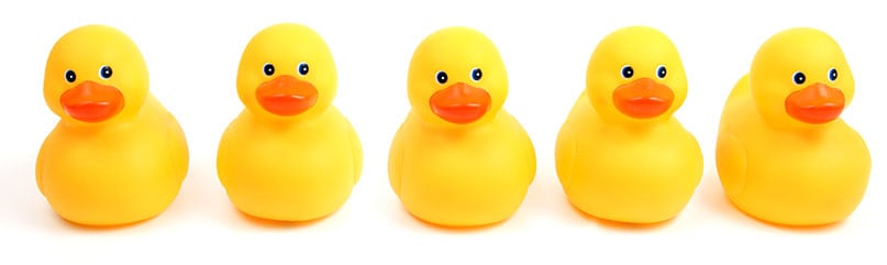 5 toy ducks in a row emphasizing 5 focus areas of nonprofit marketing success in 2021