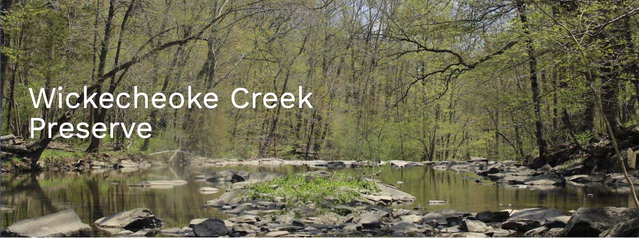 A shot of Wickecheoke Preserve in New Jersey, illustrating nonprofit website photography for the New Jersey Conservation Foundation